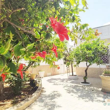 Miranda Con Ampio Giardino Ferienhaus